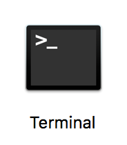 Terminal Icon